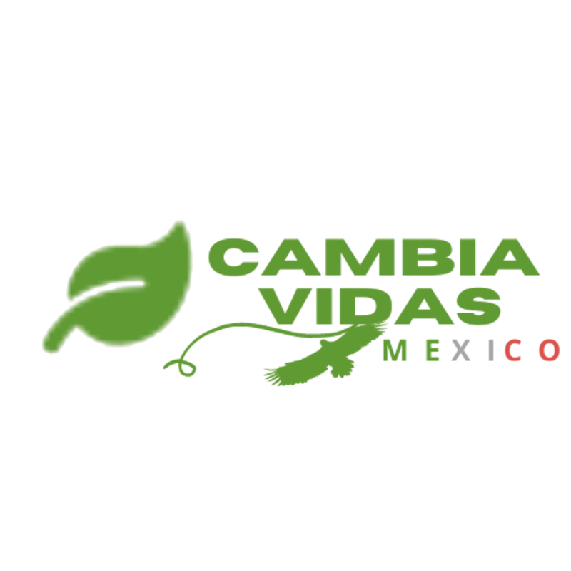 Cual es Nuestra Mision?